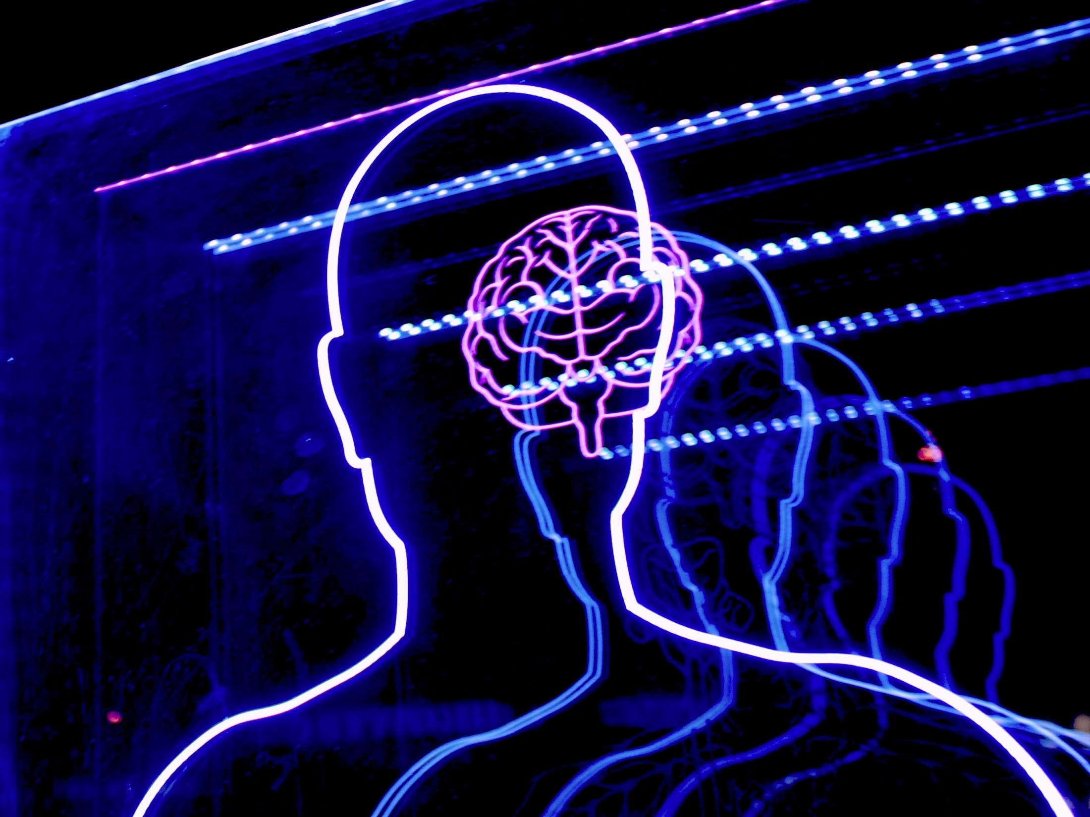 anthropic-claude-ai-biology-artificial-intelligence-development-research-models.jpg